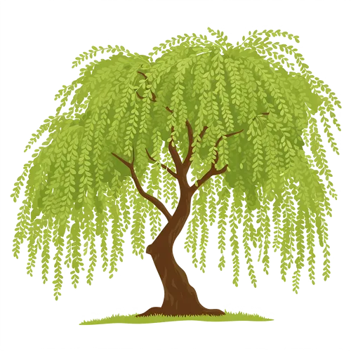 【AIGC素材】立春柳树素材